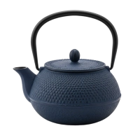 Cast Iron Teapot