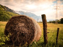 Straw