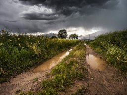Road